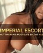 Проститутка Ava